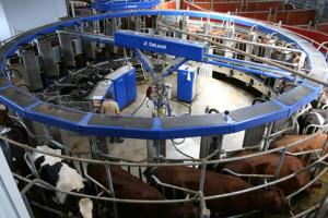 Delaval AMR 1