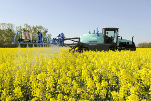 self-propelled-sprayer-raptor-in-colza-5490