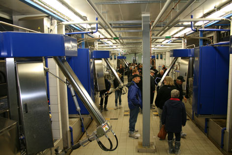 Mjölkroboten är en individanpassning inom animalieproduktion.