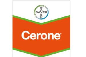 cerone