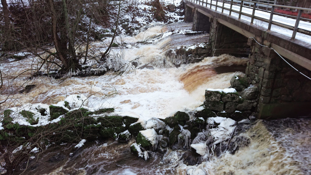 Elpriserna kommer att falla tillbaka