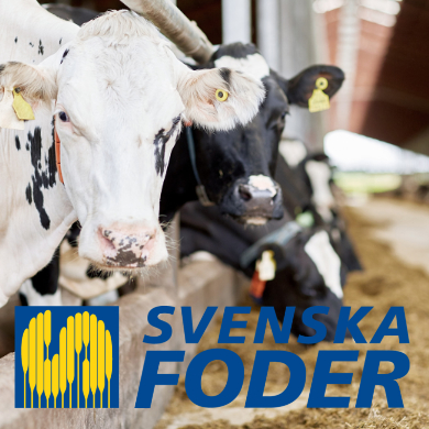 Svenska foder