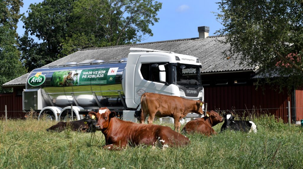 I augusti ligger priset som Arlabönderna får betalt för sin mjölk kvar på samma nivåer som i juli. Foto: Arla