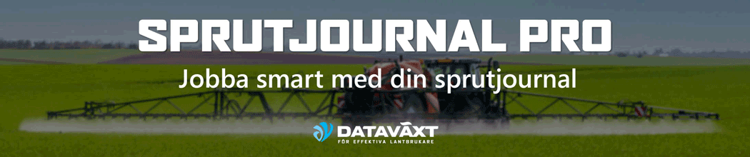 Dataväxt